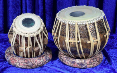 Melodic Mosaic: A Journey Through Popular Indian Musical Instruments